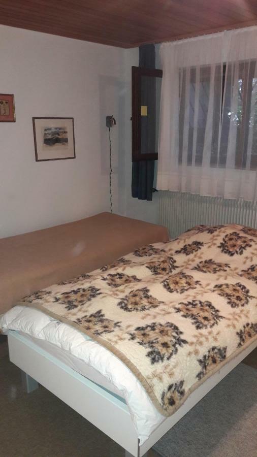 Haus Schwanenweg Lejlighed Konstanz Eksteriør billede